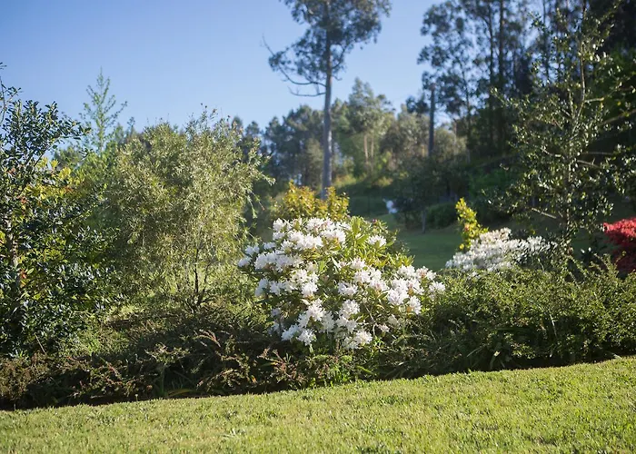 Летний дом Casa Pineiro